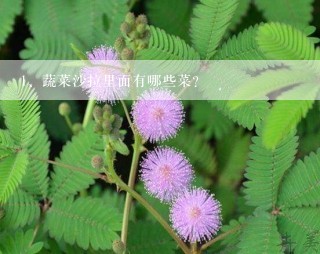 蔬菜沙拉里面有哪些菜?