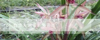 食堂大锅菜素菜菜谱