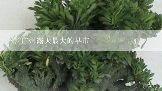 广州露天最大的早市