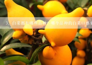 白菜都有哪些品种？哪个品种的白菜口感更好？