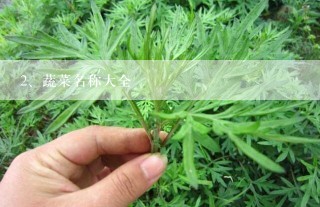 蔬菜名称大全