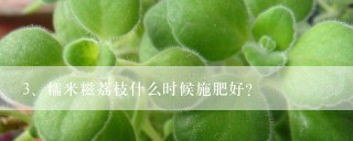 糯米糍荔枝什么时候施肥好？