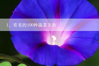 常见的100种蔬菜名称