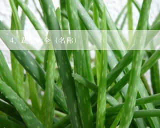 蔬菜大全（名称）