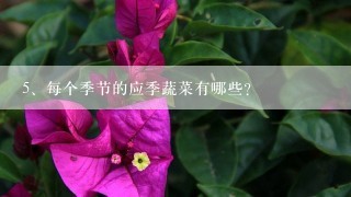 每个季节的应季蔬菜有哪些？