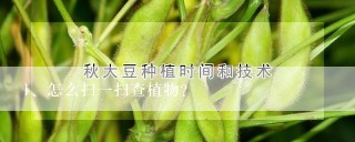 怎么扫一扫查植物？