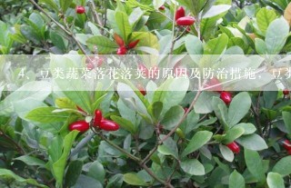 豆类蔬菜落花落荚的原因及防治措施，豆类蔬菜有哪些