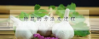 蔬菜种类大全图片名称