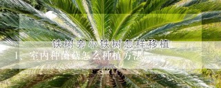 室内种菌菇怎么种植方法