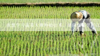 我想学习蔬菜大棚种植技术，请问到哪里可以学习？