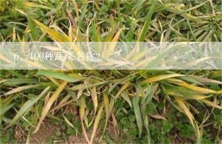 100种蔬菜名称？