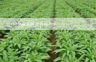 10个疏菜拼音有哪些？