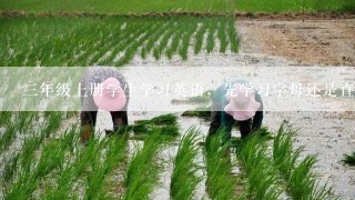 三年级上册学生学习英语，先学习字母还是直接先学单词，学校老师没教直接教课文，合理吗？