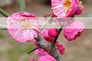 十大最营养蔬菜排行榜前十名