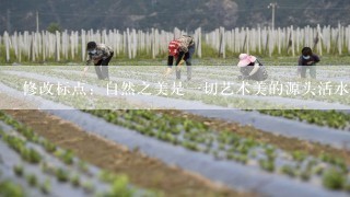 修改标点：自然之美是一切艺术美的源头活水，正如古人所云“天地有大美而无言。”