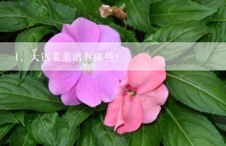 大锅菜菜谱有哪些？