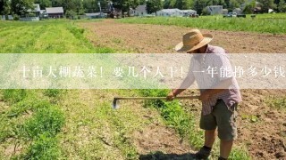 十亩大棚蔬菜！要几个人干！一年能挣多少钱？