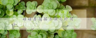 枇杷种植方法