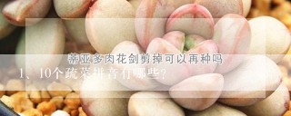 10个疏菜拼音有哪些？