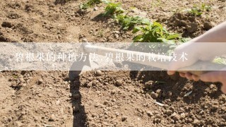 碧根果的种植方法,碧根果的栽培技术