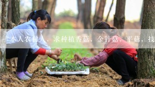 本人农村人，求种植香菇，金针菇，平菇，技术。拜师学艺