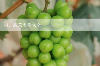 蔬菜名称大全