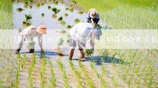 昆明蔬菜冷库建一个多少钱昆明蔬菜冷库安装公司联系