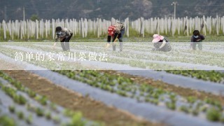 简单的家常川菜做法