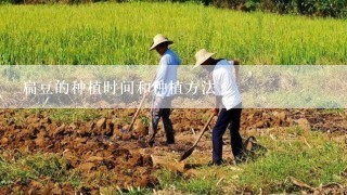 扁豆的种植时间和种植方法