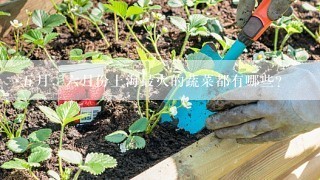 五月，六月份上海最火的蔬菜都有哪些？