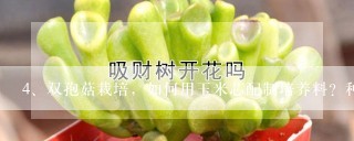 双孢菇栽培，如何用玉米芯配制培养料？种植后如何管