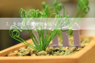 冬虫夏草的种植方法