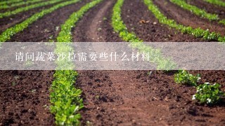 请问蔬菜沙拉需要些什么材料