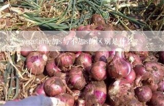 vegetable加s与不加s的区别是什么？