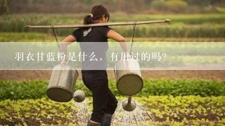 羽衣甘蓝粉是什么，有用过的吗？