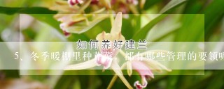 冬季暖棚里种芹菜，都有哪些管理的要领呢？