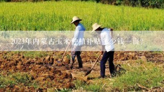 2023年内蒙古玉米种植补贴多少钱一亩？