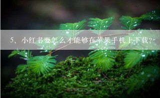 小红书要怎么才能够在苹果手机上下载？