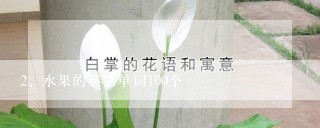 水果的英语单词100个