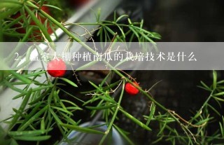 温室大棚种植南瓜的栽培技术是什么