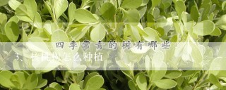 核桃树怎么种植