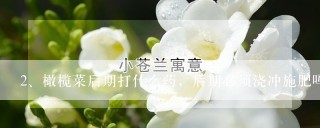 橄榄菜后期打什么药，后期必须浇冲施肥吗？