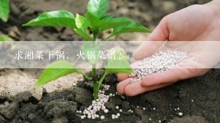 求湘菜干锅，火锅菜谱？