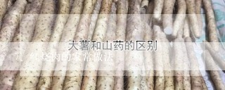 红烧肉的家常做法