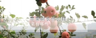 春天的蔬菜有哪些