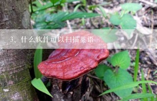 什么软件可以扫描英语