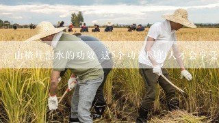 山楂片泡水的功效 这5个功效喝的人才会享受到