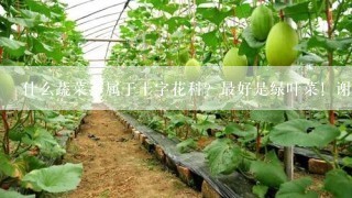 什么蔬菜不属于十字花科？最好是绿叶菜！谢谢大家