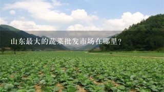 山东最大的蔬菜批发市场在哪里？