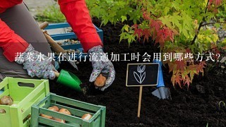 蔬菜水果在进行流通加工时会用到哪些方式？